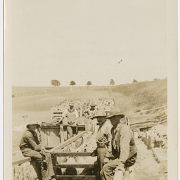Mount William Station, Victoria
