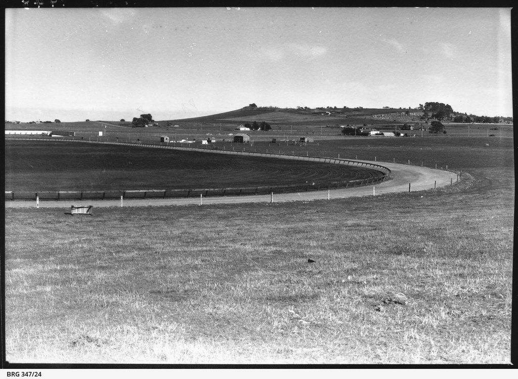 Mount Gambier racecourse • Photograph • State Library of South Australia