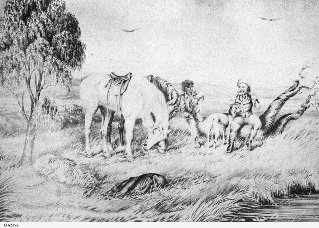 Emu hunting on Anlaby Station • Photograph • State Library of South Australia