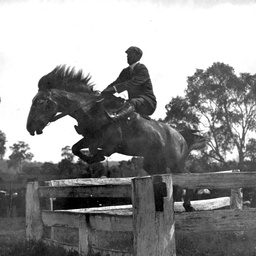 Show jumping in South Australia