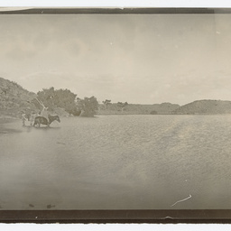 Horses at a river's edge
