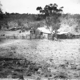 Bush homestead