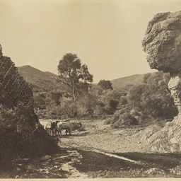 Album containing views of the Flinders Ranges and adjacent country areas
