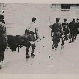 Russian Prisoners of War.