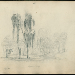 Drawings from the Frome expedition