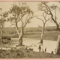 Barwon River near Geelong