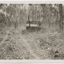 Colin James Ellis, World War II photograph album, Darwin.