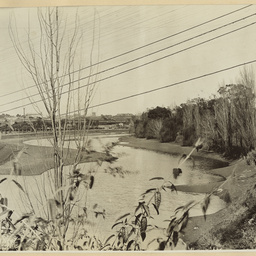 Photographs of Adelaide scenes