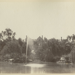 Lake at the Botanic Gardens.