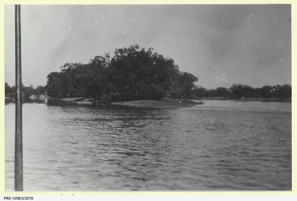 Murray Darling junction in high water • Photograph • State Library 2022超人気 Prgー2210 グローブ