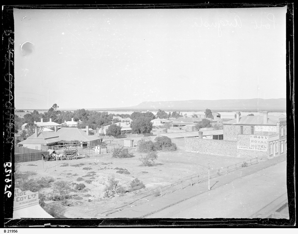 Mildred Street, Port Augusta • Photograph • State Library of South