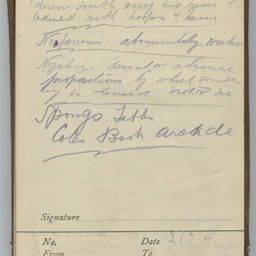 Diary of Trooper Miles Fletcher Swan