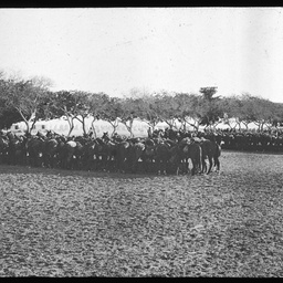 Egypt during World War I