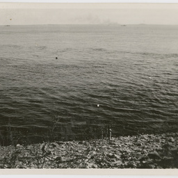 Colin James Ellis, World War II photograph album, Darwin.