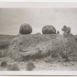 Colin James Ellis, World War II photograph album, Darwin.