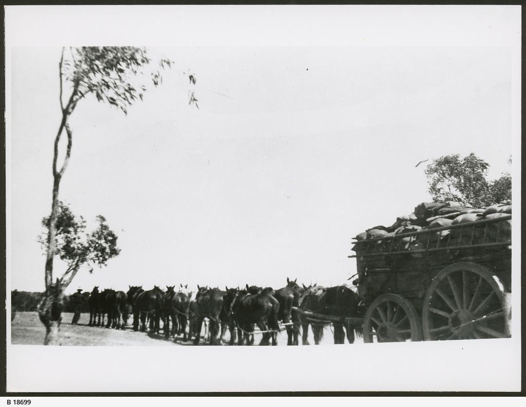Overland Telegraph Line activities • Photograph • State Library of