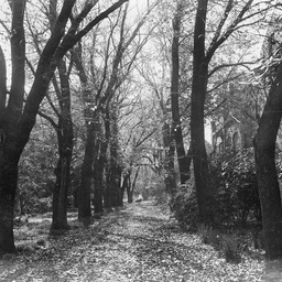 Botanic Gardens
