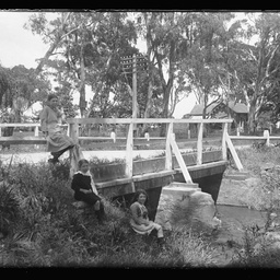 Collection of photographs taken around Adelaide by Theo Bachmann