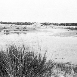 View of Salt Creek at the Coorong with Coorong Cafe in distance