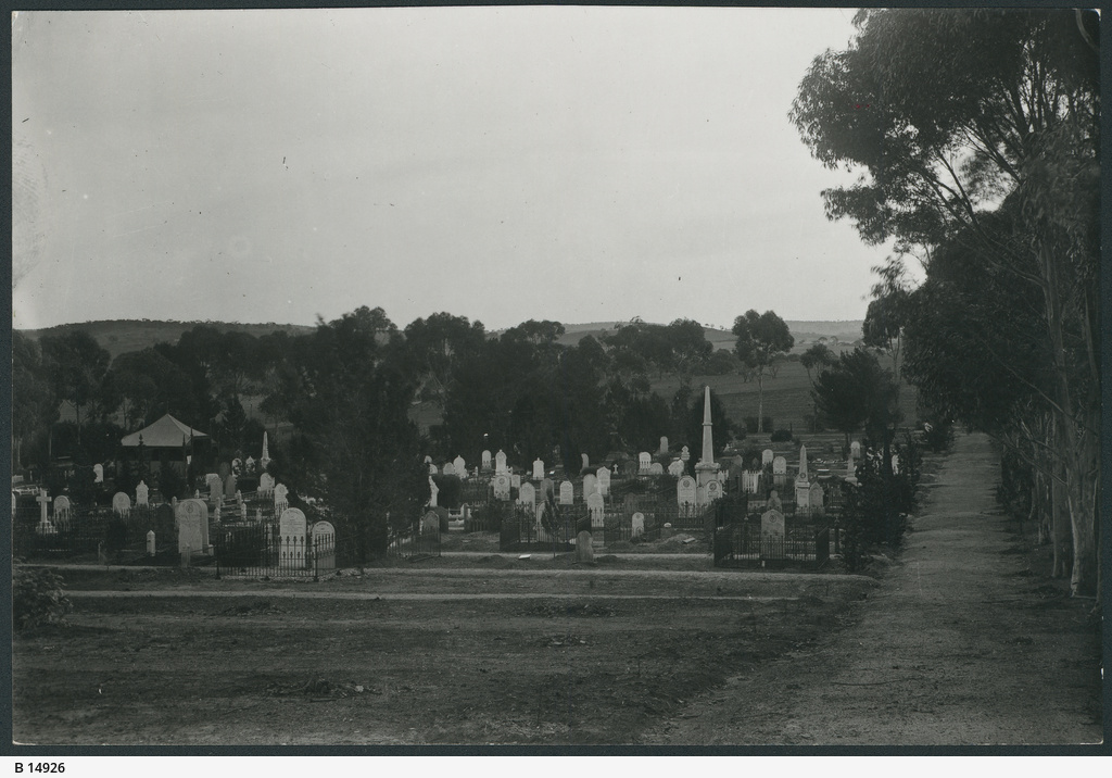 Kapunda Cemetery • Photograph • State Library of South Australia