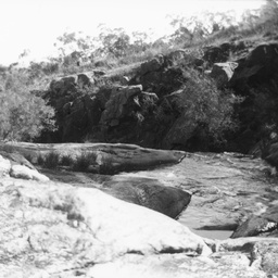 Waterhole