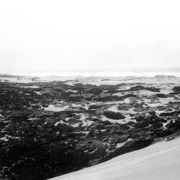 Looking toward Ocean Beach from Younghusband Peninsula