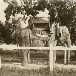Botanic and Zoological Gardens, Adelaide