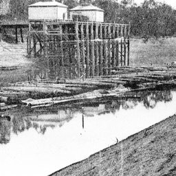 Moama Wharf in the 1920s with a barge loaded with logs