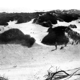 Looking to big sand hill at Nine Mile Point from Younghusband Peninsula